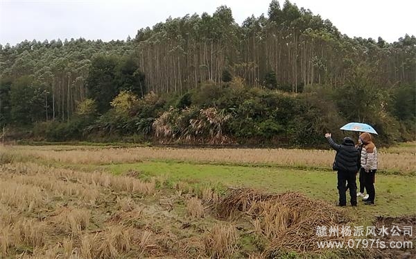 珠海市陈老师带着爱徒寻龙点穴